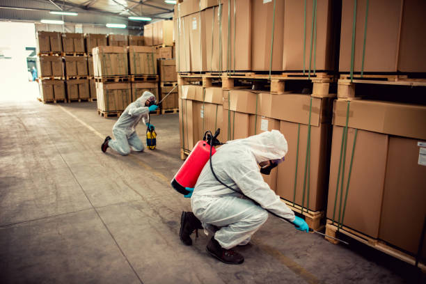 Best Pest Inspection Near Me  in Raceland, KY