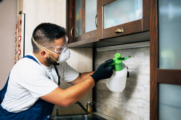 Best Exterminator Services  in Raceland, KY