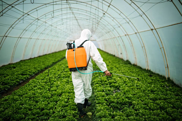 Best Best Pest Control Companies  in Raceland, KY