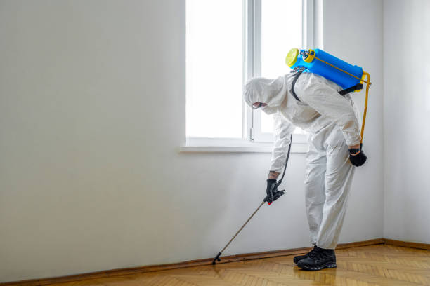 Best Exterminator Services  in Raceland, KY