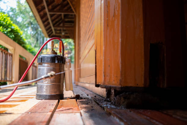 Best Best Pest Control Companies  in Raceland, KY