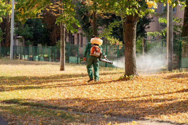 Best Pest Control for Businesses  in Raceland, KY