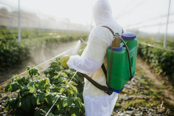 Best Best Pest Control Companies  in Raceland, KY